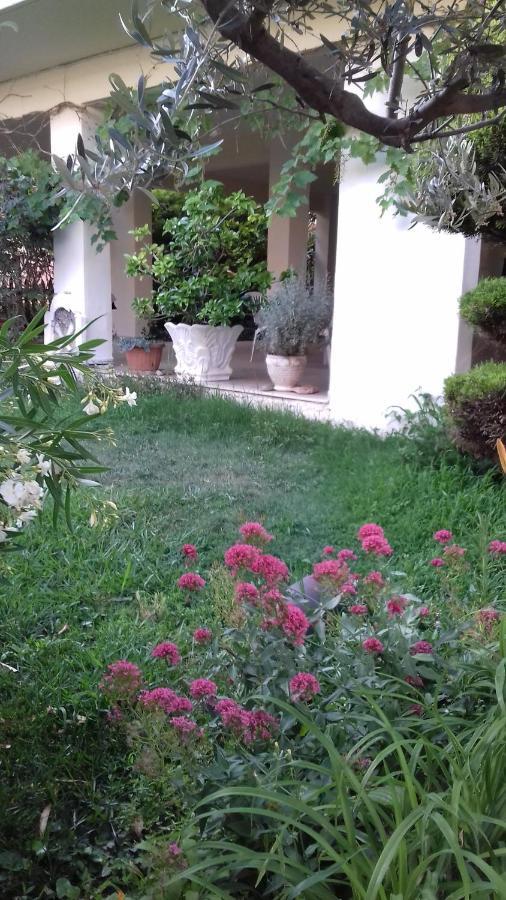 אלכסנדרופולי Hili Resort Luxurious Seaside Apartment מראה חיצוני תמונה