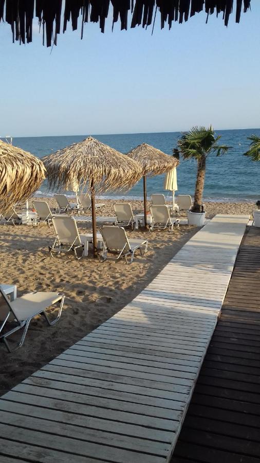אלכסנדרופולי Hili Resort Luxurious Seaside Apartment מראה חיצוני תמונה